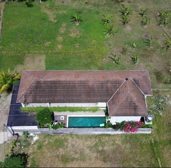 Airsatang Three Palms Surf & Stay Medewi المظهر الخارجي الصورة